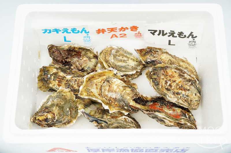 殻かき三種食べ比べセット｜厚岸漁業協同組合直売店エーウロコ