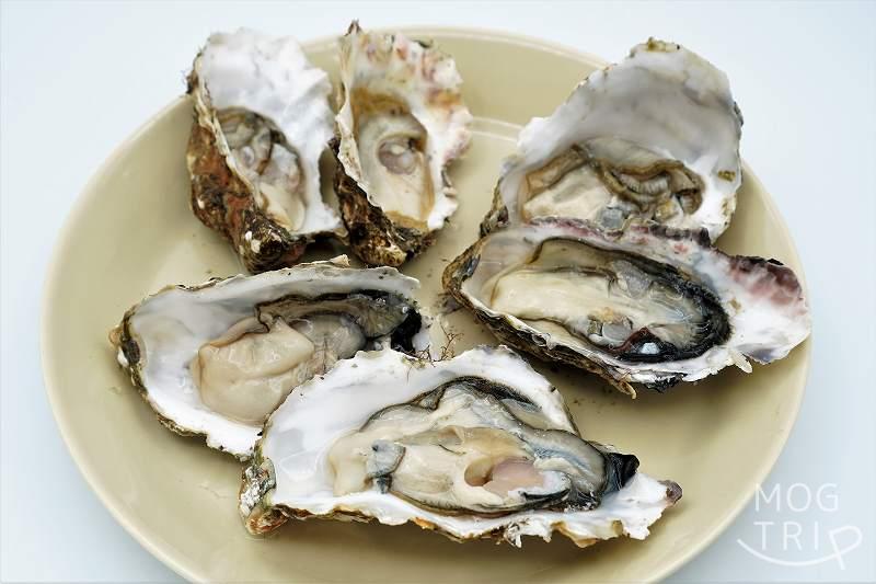 殻かき三種食べ比べセット｜厚岸漁業協同組合直売店エーウロコ　厚岸産の牡蠣３種