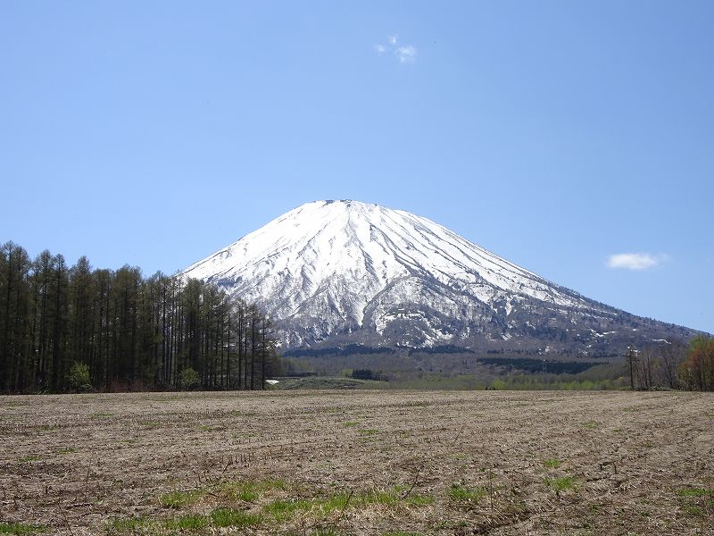 京極銘水　甘味処　江守／北海道虻田郡京極町