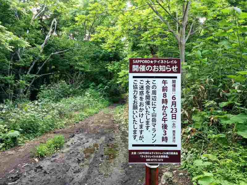 平和の滝 登山道 はトレイルランのコースにも