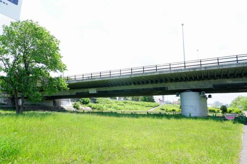 菊水・旭山公園通 をはしる “南大橋”