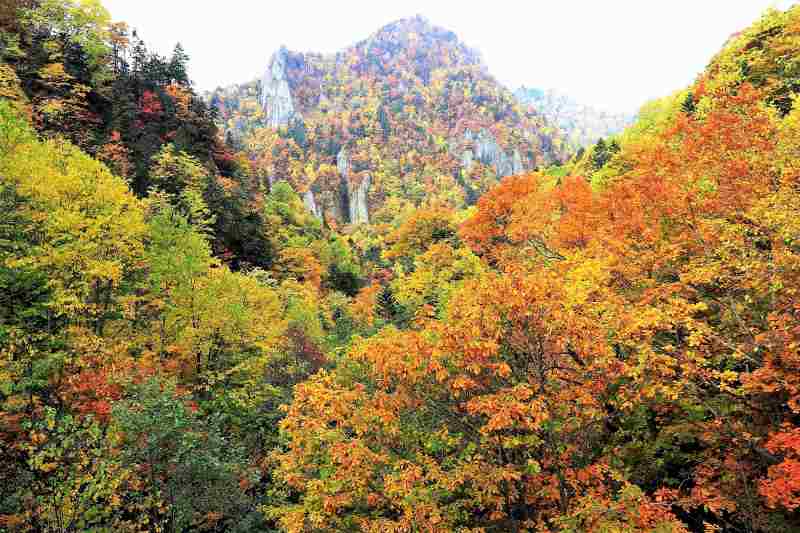 豊平峡の千丈岩の紅葉