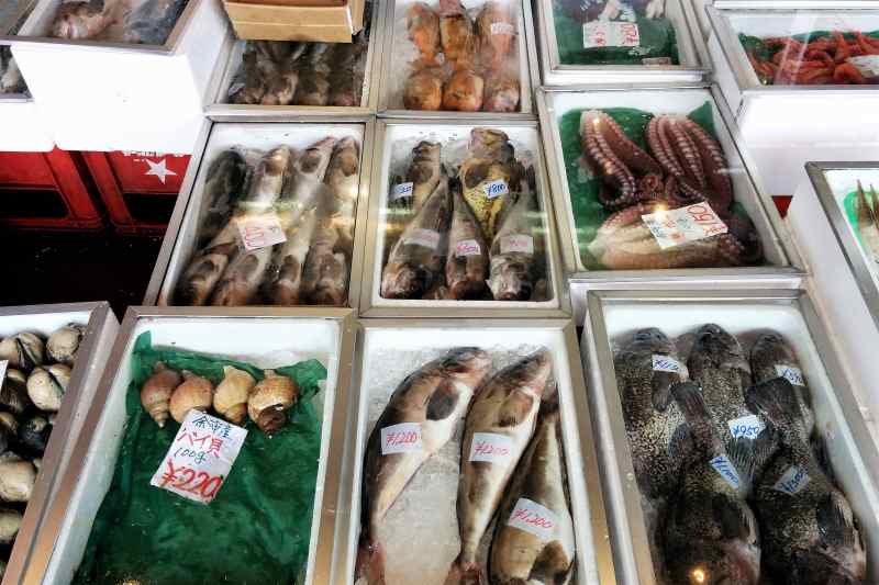 新岡商店の魚や貝