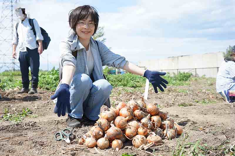 札幌黄オーナー制度で収穫した玉ねぎ