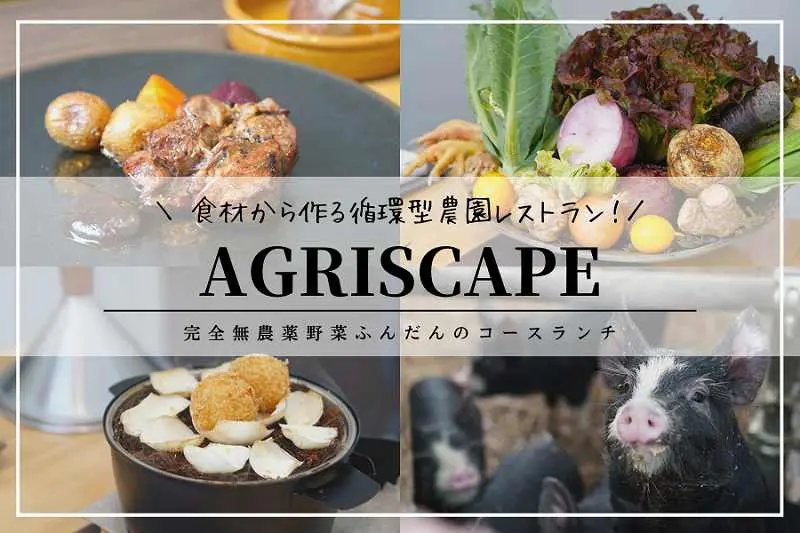 アグリスケープ 札幌初 前代未聞の農園レストランで採れたて本格フレンチ