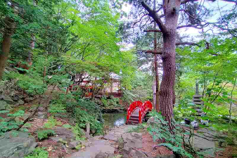 エルムガーデン　日本庭園
