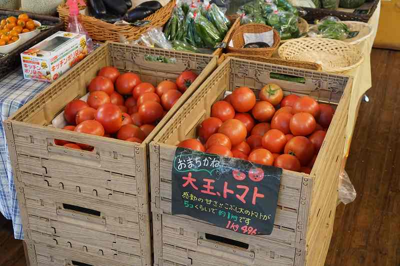 箱に入れられたたくさんのトマトが置かれている谷口農場の内観